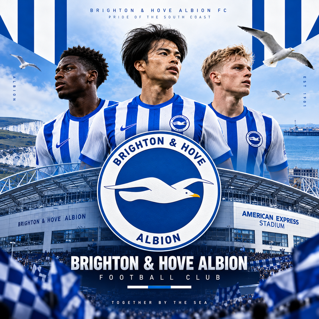 Brighton & Hove Albion